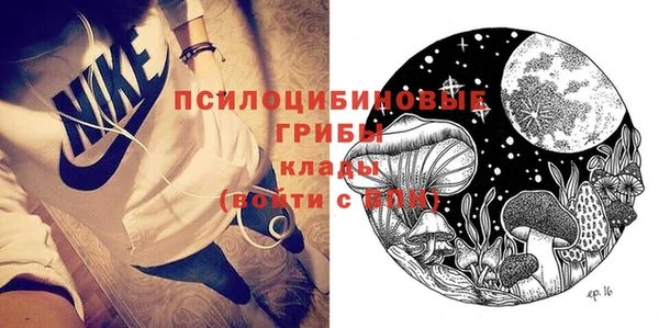 дмт Алексеевка